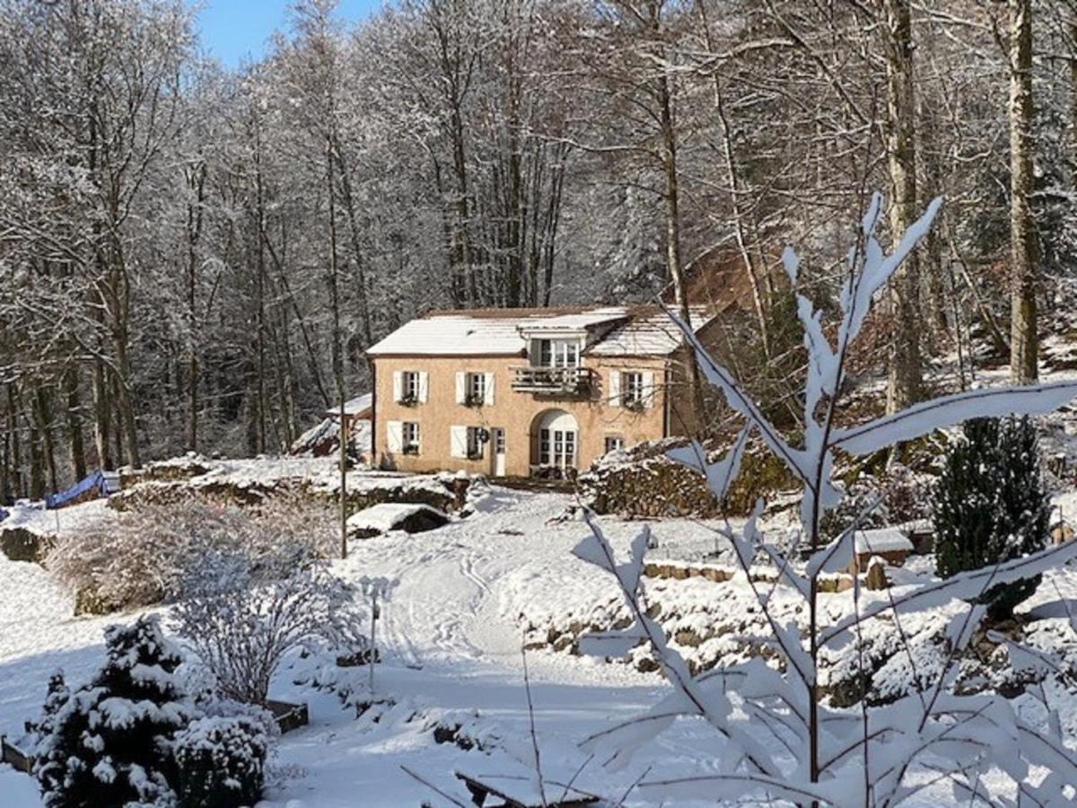 Gite Du Bois Des Hauts Les Mille Etangs La Lanterne-et-les-Armonts Eksteriør bilde